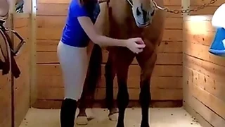 Multi Porn Videos 7